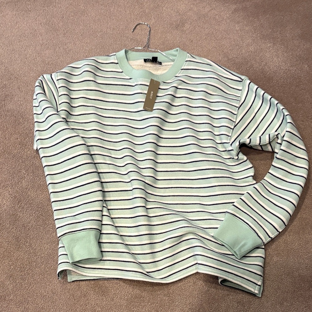 J. Crew Mint and Navy Striped Crewneck Sweater